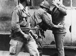 Image result for Algeria War French Minutemen