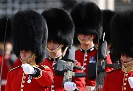 Image result for Royal Guard