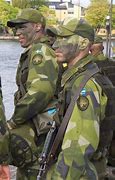 Image result for Swedish Army Uniform