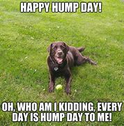 Image result for Happy Hump Day Dog