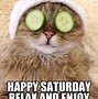 Image result for Saturday Vibes Meme