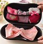 Image result for Bra Organizer for Small Space