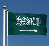 Image result for Saudi Arabia Flag