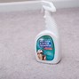 Image result for Clean Carpet Pet Odor