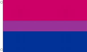 Image result for Bi Pride Symbols Flags
