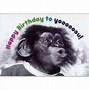 Image result for Funny Birthday Sayings Humor