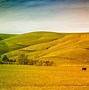 Image result for Country Road Australia