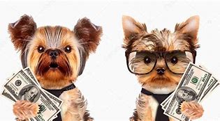 Image result for Funny Dogs with Money