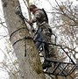 Image result for Hang On Tree Stand Ideas Blind