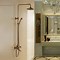 Image result for Luxury Rain Shower Systems