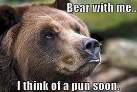 Image result for Dumd Funny Bears