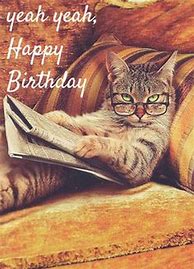 Image result for Funny Cat Birthday Wishes for Friends