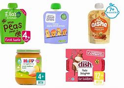 Image result for Baby Food Basics
