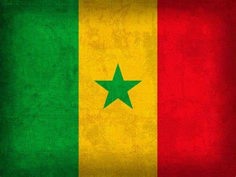 Senegal Flag Vintage Distressed Finish by Design Turnpike | Senegal ...