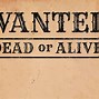 Image result for Wanted Poster Writing