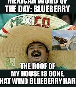 Image result for Mexican Puns