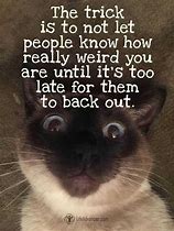 Image result for Very Funny Witty Quotes