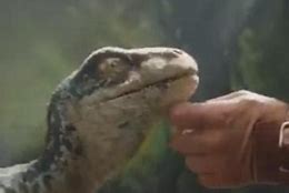 Image result for Chris Pratt Jurassic World Velociraptor Baby
