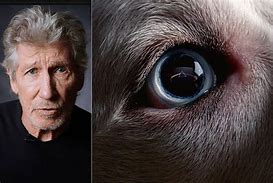 Image result for Roger Waters Dark Side of the Moon