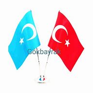 Image result for Dogu Turkistan Bayrak