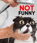 Image result for Do Not Funny