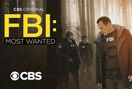 Image result for FBI Most Wanted Season 2 Poster