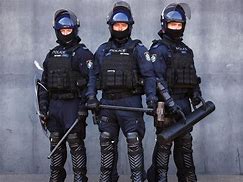 Image result for Riot Officer