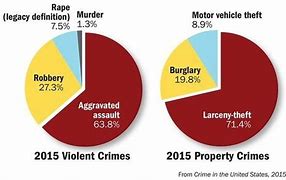 Image result for Chicago Crime Family Chart