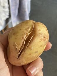 Image result for Cursed Potato