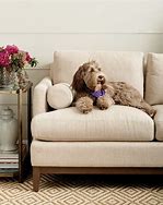 Image result for Best Living Room Furniture for Pets