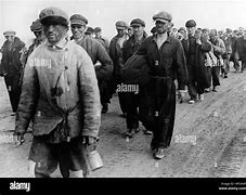 Image result for Stalingrad German Prisoners Taken At