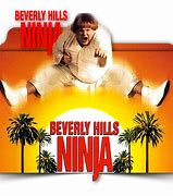 Image result for Beverly Hills Ninja Cast