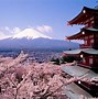Image result for Sakura Cherry Blossom Wallpaper