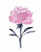 Image result for Peony Print