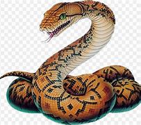 Image result for Giant Snake Drawing