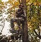 Image result for Hang On Tree Stand Bracket