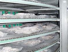 Image result for IQF Freezer USA