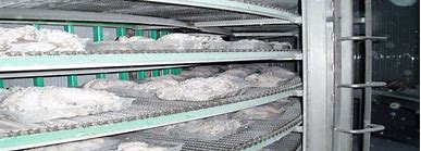 Image result for Offal IQF Freezer