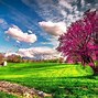 Image result for Scenic Screensavers Free