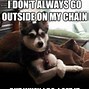 Image result for Cute Doggy and Cat Sayings