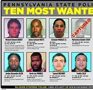 Image result for American Most Wanted Pic