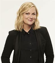 Image result for Amy Poehler Cheesecake