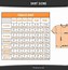 Image result for At 511 What Size Shirt