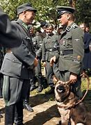 Image result for Finnish Waffen SS