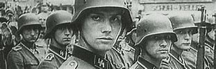 Image result for Dutch SS Division