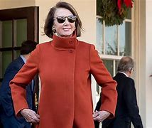 Image result for Nancy Pelosi in Iconic Coat