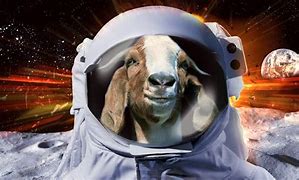 Image result for PFP Space Goat