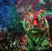 Image result for Colorful Tiger Wallpaper