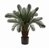 Image result for Outdoor Artificial Plants and Trees