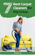 Image result for Pet Urine Carpet Cleaning
